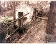 Stilo/Osetnik - pozostałości drewnianego ogrodzenia