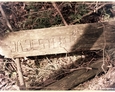 Stilo/Osetnik - deska z wyrytym napisem niegdyś przytwierdzona do drzewa 