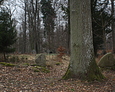 Wejście na teren cmentarza w Wolinii