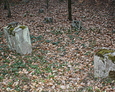 Bardziej zdewastowana część cmentarza