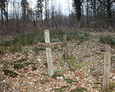 Wiele drewnianych krzyży znajdujących się na początku cmentarza