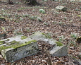 Zniszczone fragmenty pomników