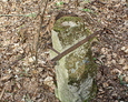 Kamienny cokół w kształcie pnia drzewa z pozostałością metalowego mocowania, do którego najprawdopodobniej przytwierdzona była żeliwna tablica inskrypcyjna