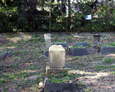 Nieczynny cmentarz ewangelicki przy ul. Grunwaldzkiej