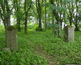 Brama główna cmentarza w Świetlinie