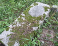 Przewrócony kamień nagrobny Fritza Skibbe