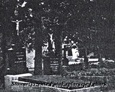 Teren cmentarza przykościelnego w Przodkowie (zdjęcia pochodzą najprawdopodbniej z lat 80tych)