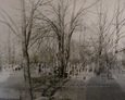 Ogólny widok na teren cmentarza w Białogardzie