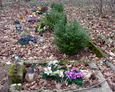Sztuczne kwiaty to znak, że od czasu do czasu ludzie odwiedzają teren cmentarza
