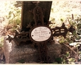 Damnica - cmentarz komunalny (ażurowy krzyż pochodzący z dziecięcej mogiły)