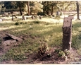 Damnica - cmentarz komunalny (postument w kształcie pnia drzewa bez tablicy inskrypcyjnej)