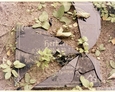 Damnica - cmentarz komunalny (rozbita i częściowo poskładana tablica inskrypcyjna)