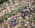 Widoczna kamienne rama wyznaczająca mogiłę ze sztucznymi kwiatami