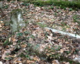 Zdewastowane mogiły w części dziecięcej cmentarza