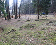 Ogólny widok na teren cmentarza
