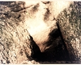 Fragment grobowca na terenie starego kirkutu w Lęborku
