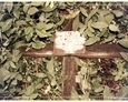 Drewniany krzyż z białą tabliczką inskrypcyjną na dawnym cmentarzu w Bukowinie