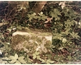 Pozostałości nagrobków na dawnym cmentarzu w Bukowinie