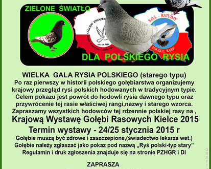 Wielka gala rysia polskiego