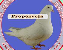 Logo Klubu białki polskiej - propozycja