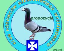 Logo Klubu rzeszowskiego wyst. - propozycja