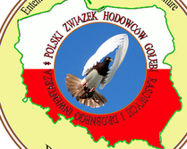 Logo- propozycja