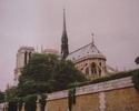 Paryż - Katedra Notre Dame