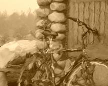 Rower i deszcz na szybie samochodu.2011r.