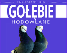 Encyklopedia -Gołębie hodowlane