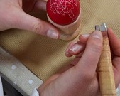 Wycieczka 5a do Szreniawy