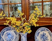 Wycieczka 5a do Szreniawy