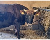 Wycieczka 5a do Szreniawy