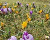 Wycieczka 5a do Szreniawy