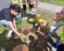 Przedszkolaki sadzą drzewa - akcja #sadziMY