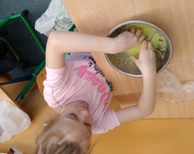 Zajecia Sensoplastyki z wykorzystaniem galaretki oraz mąki ziemniaczanej. Zdjecia przedstawiają sylwetki dzieci podczas swobodnej zabawy.