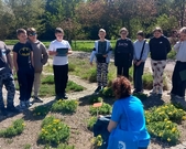 Klasa 4b na Festiwalu Nauki i Sztuki w Ogrodzie Botanicznym