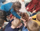 Dzieci wykonały sensoryczne drzewo przy użyciu różnych materiałów m.in. kasztanów,  patyków,  liści, żołędzi,  ryżu,  makaronu.