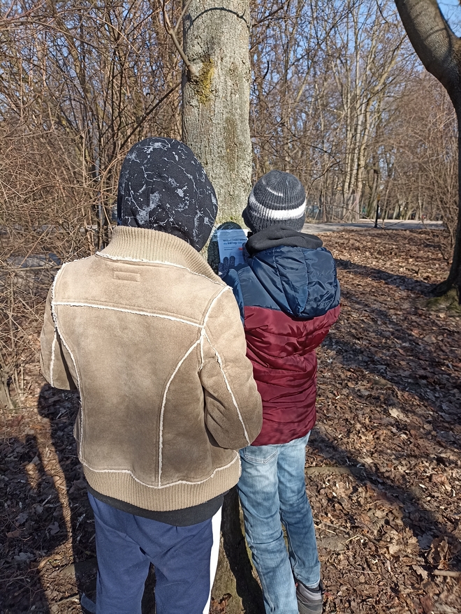 Dwóch chłopców zawiesza na drzewie w parku kartkę, dotyczącą pasywnego pomiaru zapylenia.