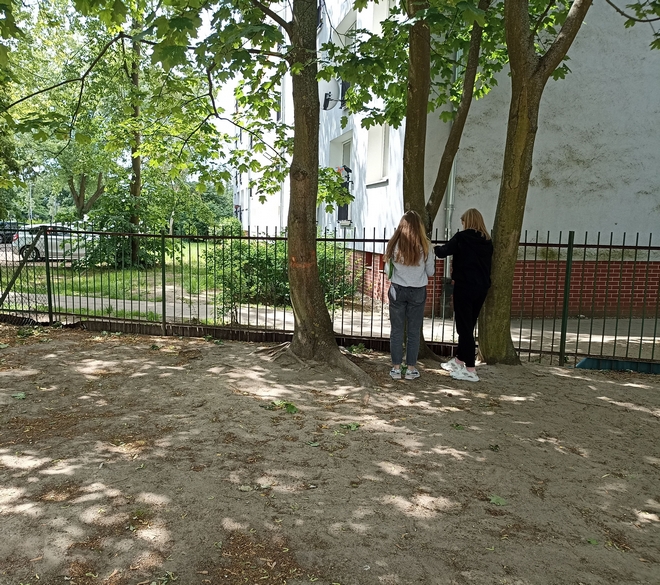 dwie dziewczynki stoją przy drzewie, usuwają powierzchnię badawczą dotyczącą pasywnego pomiaru zapylenia