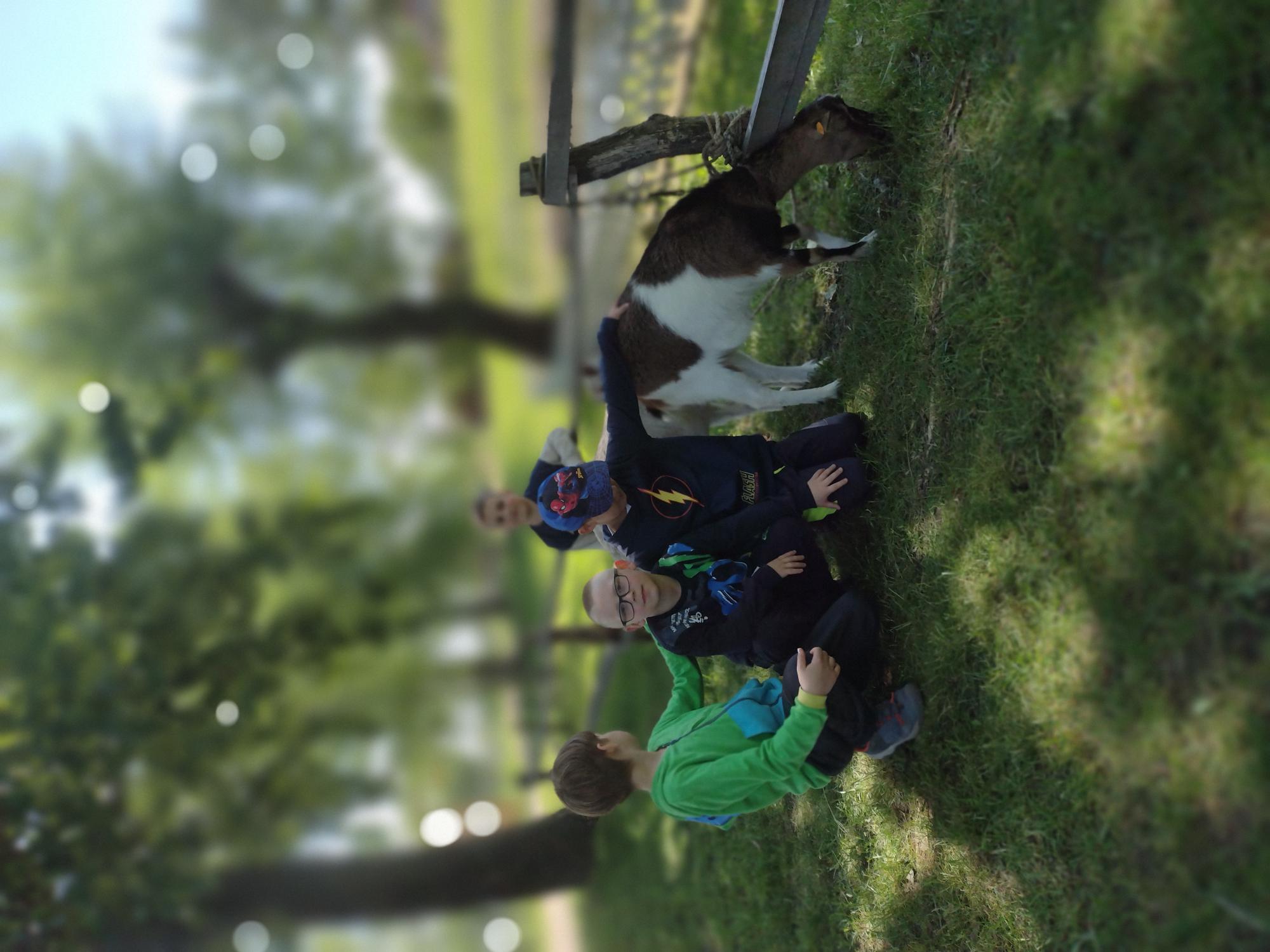 Dzieci z SP80 podczas wycieczki do Kluczewa