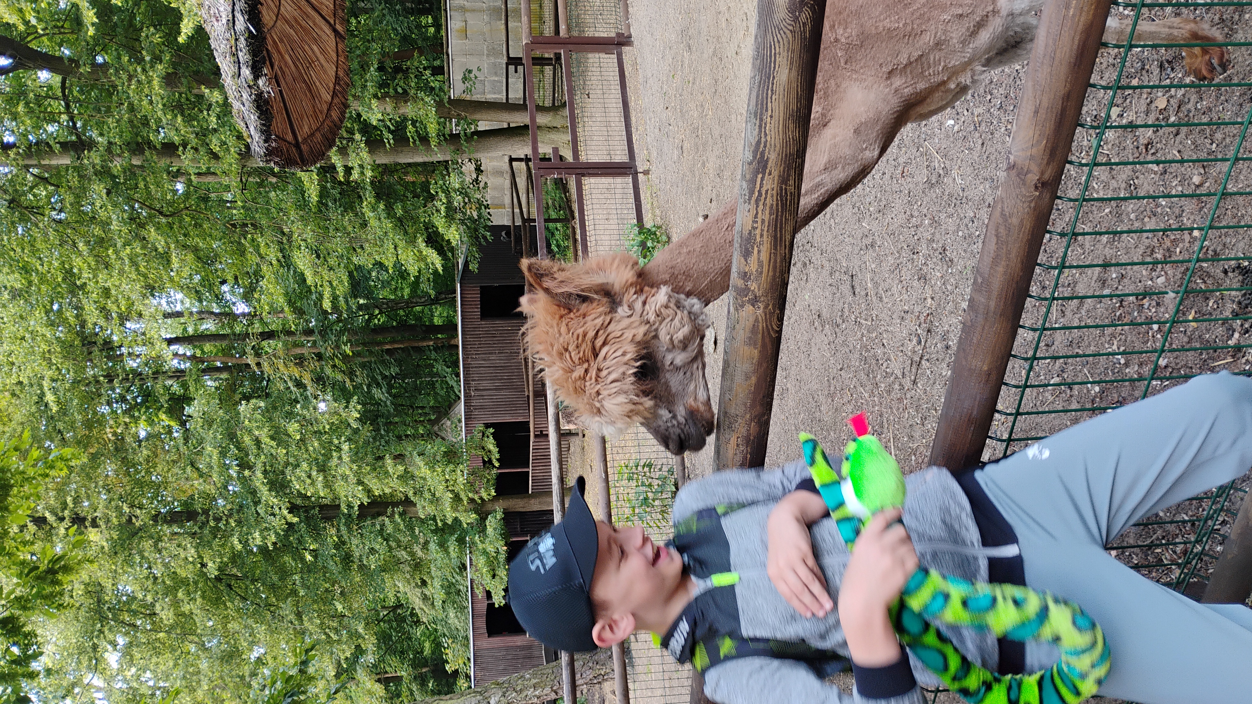 3b w Nowym Zoo w Poznaniu