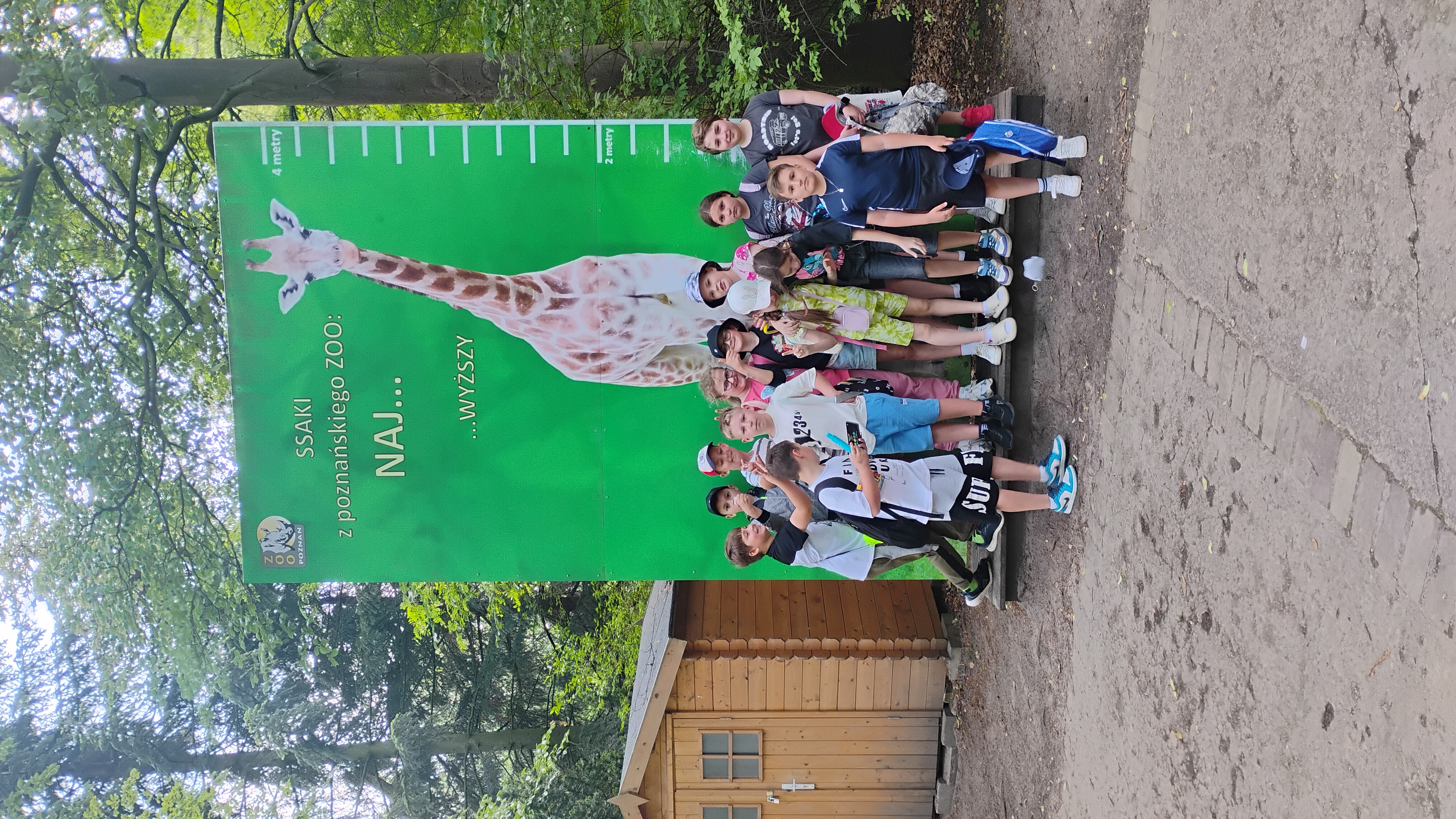 3b w Nowym Zoo w Poznaniu
