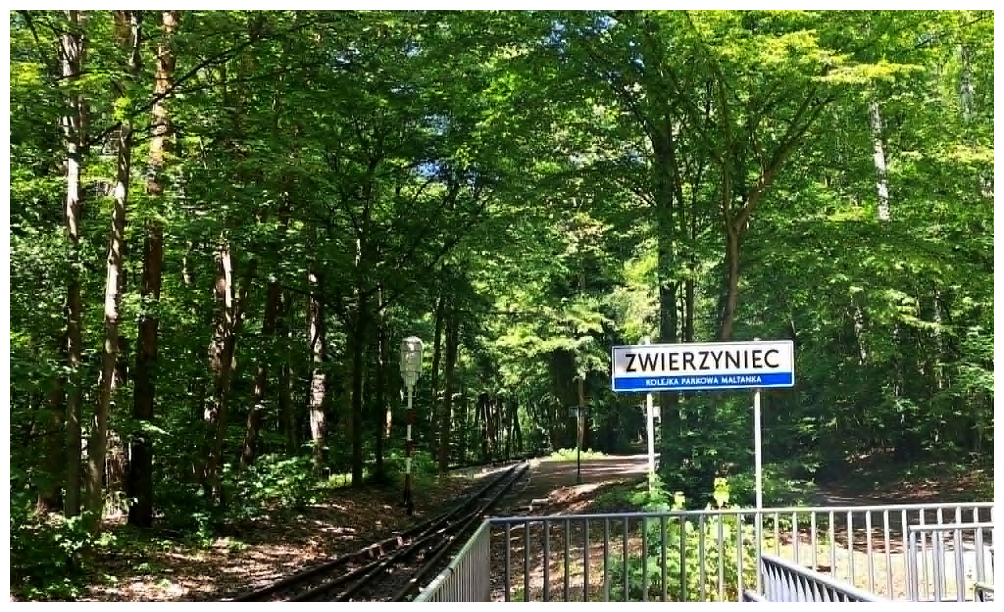 Wycieczka do nowego zoo klasy 5a