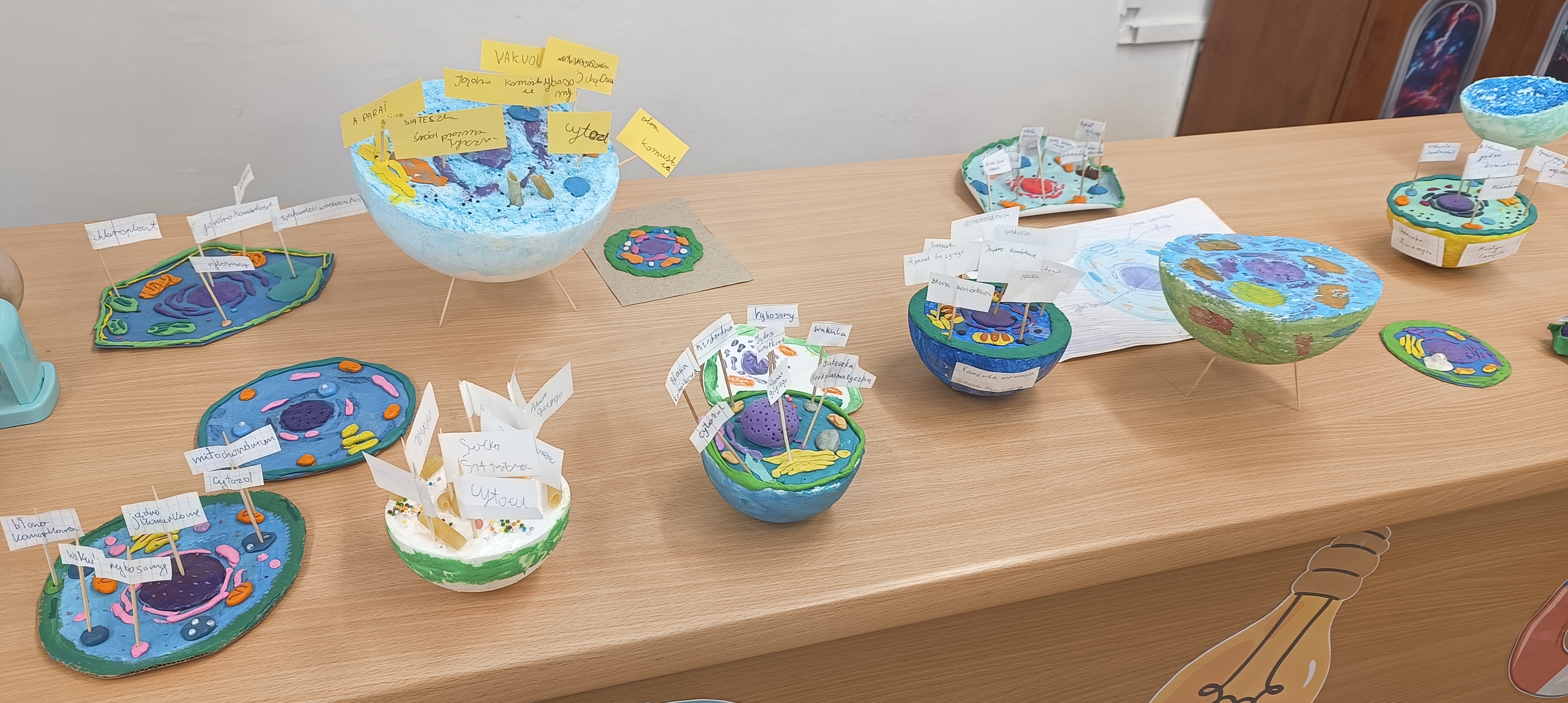 Uczniowie klas piątych na lekcjach biologii stworzyli własne modele komórek roślinnych i zwierzęcych