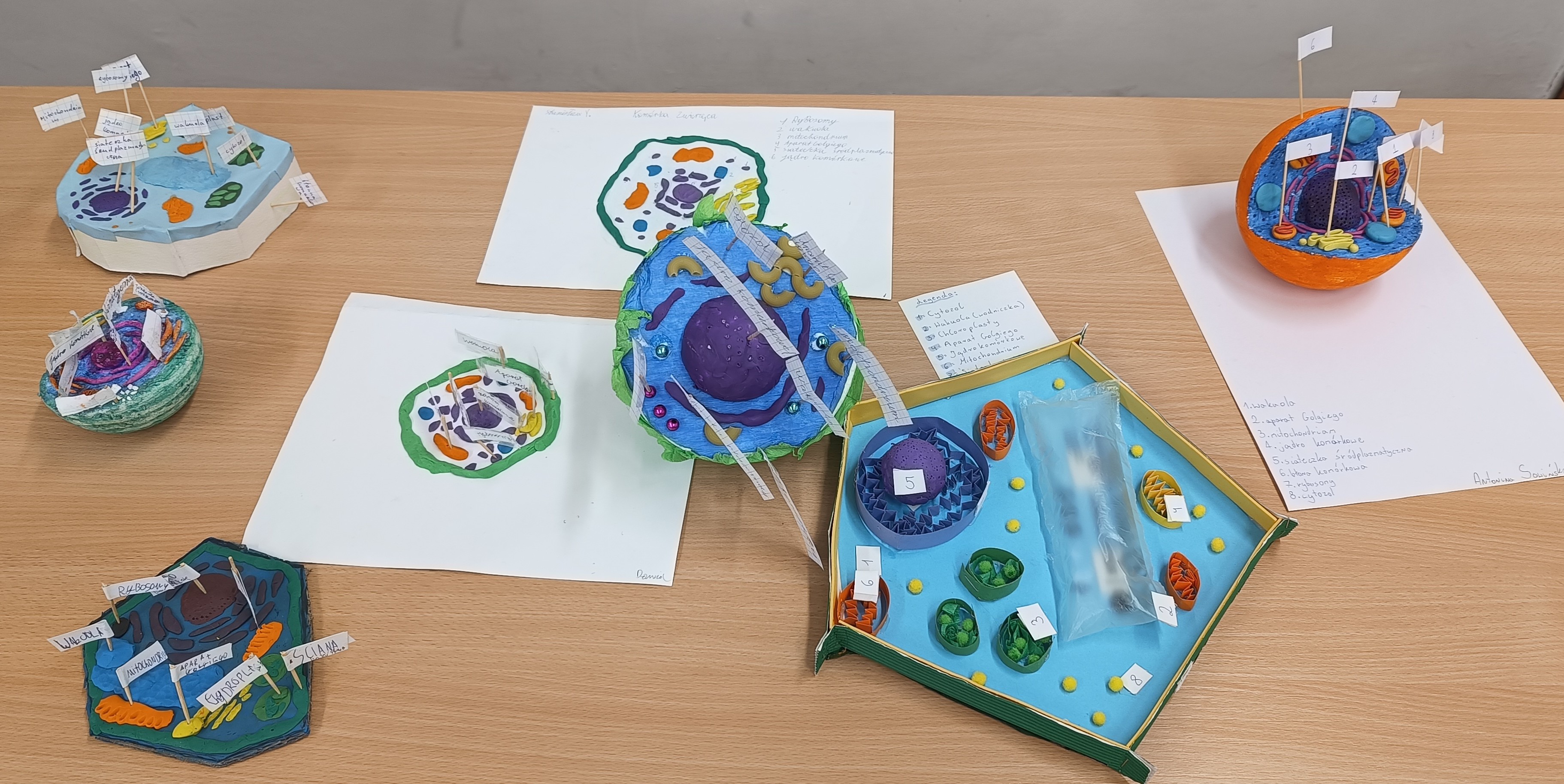 Uczniowie klas piątych na lekcjach biologii stworzyli własne modele komórek roślinnych i zwierzęcych