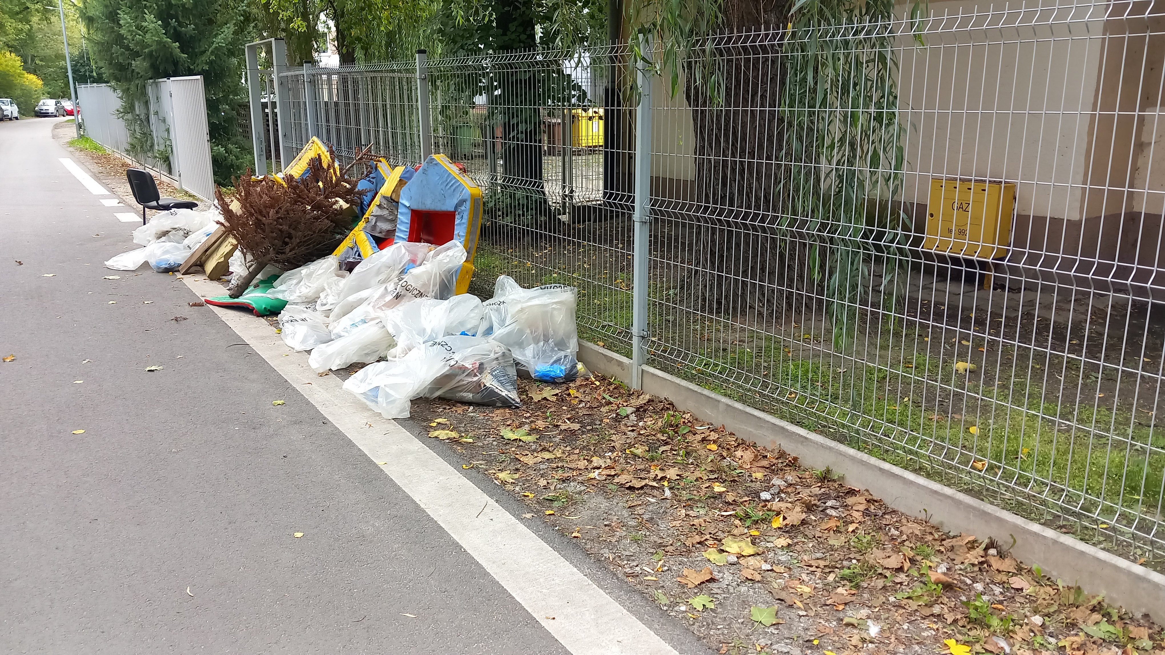 Sprzątamy fyrtle, czyli kolejna akcja sprzątania świata