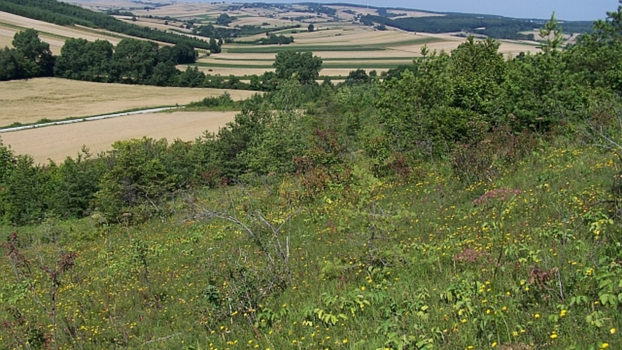 W tej dolince położona jest Kalina Mała (widok ze zbocza Kalina Lisiniec)