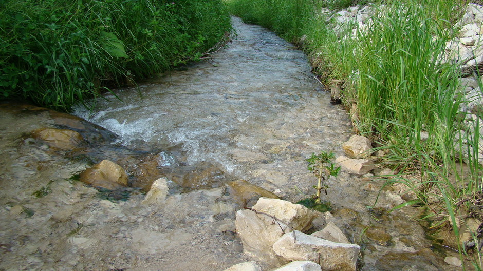 Rzeka Kalinka przecinająca drogę do Rędzin