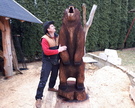 Niedźwiedż wysokość 220cm