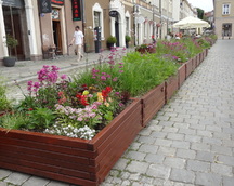 Rynek w Opolu